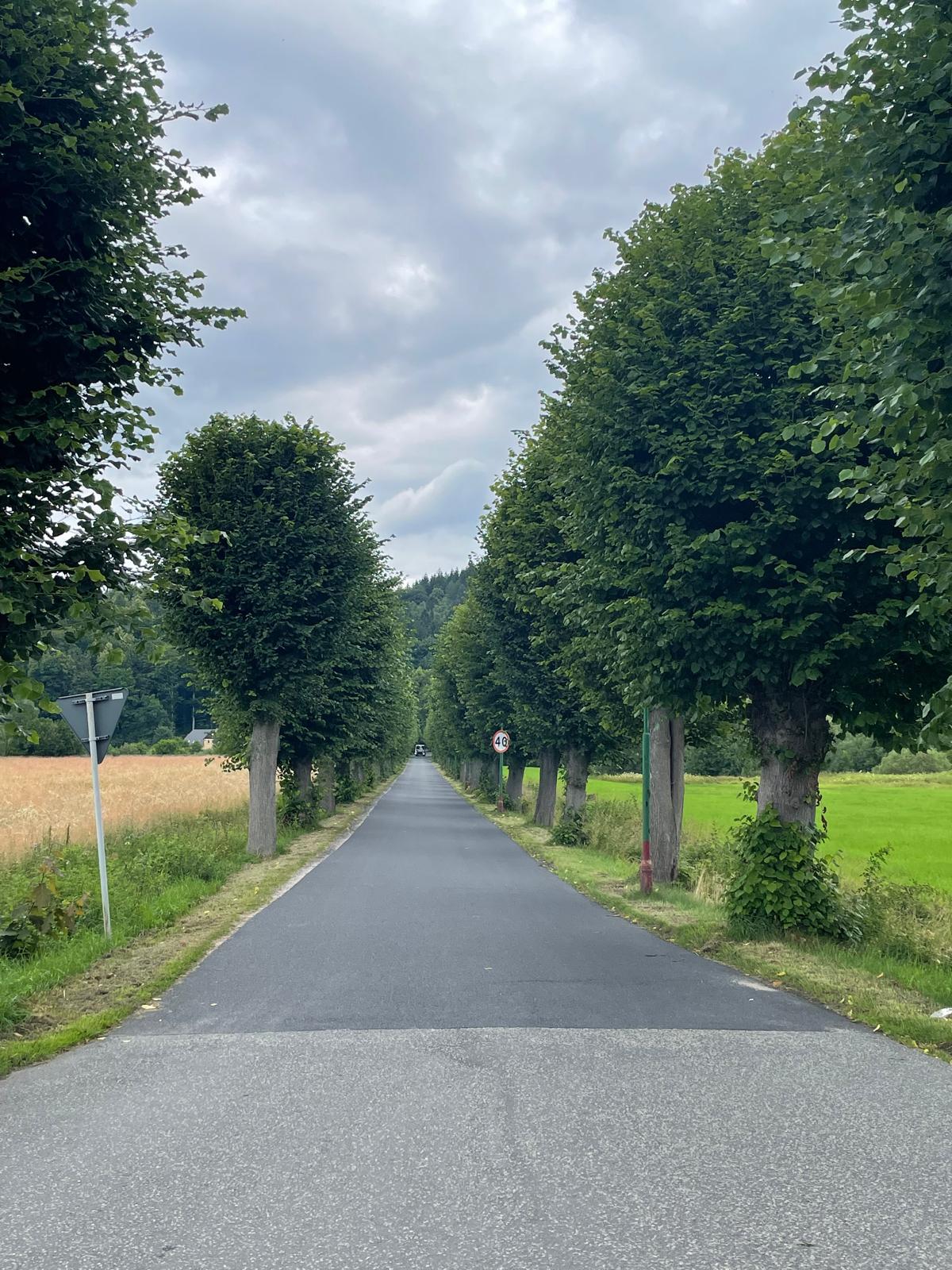 Okolica — ujęcie pionowe 1