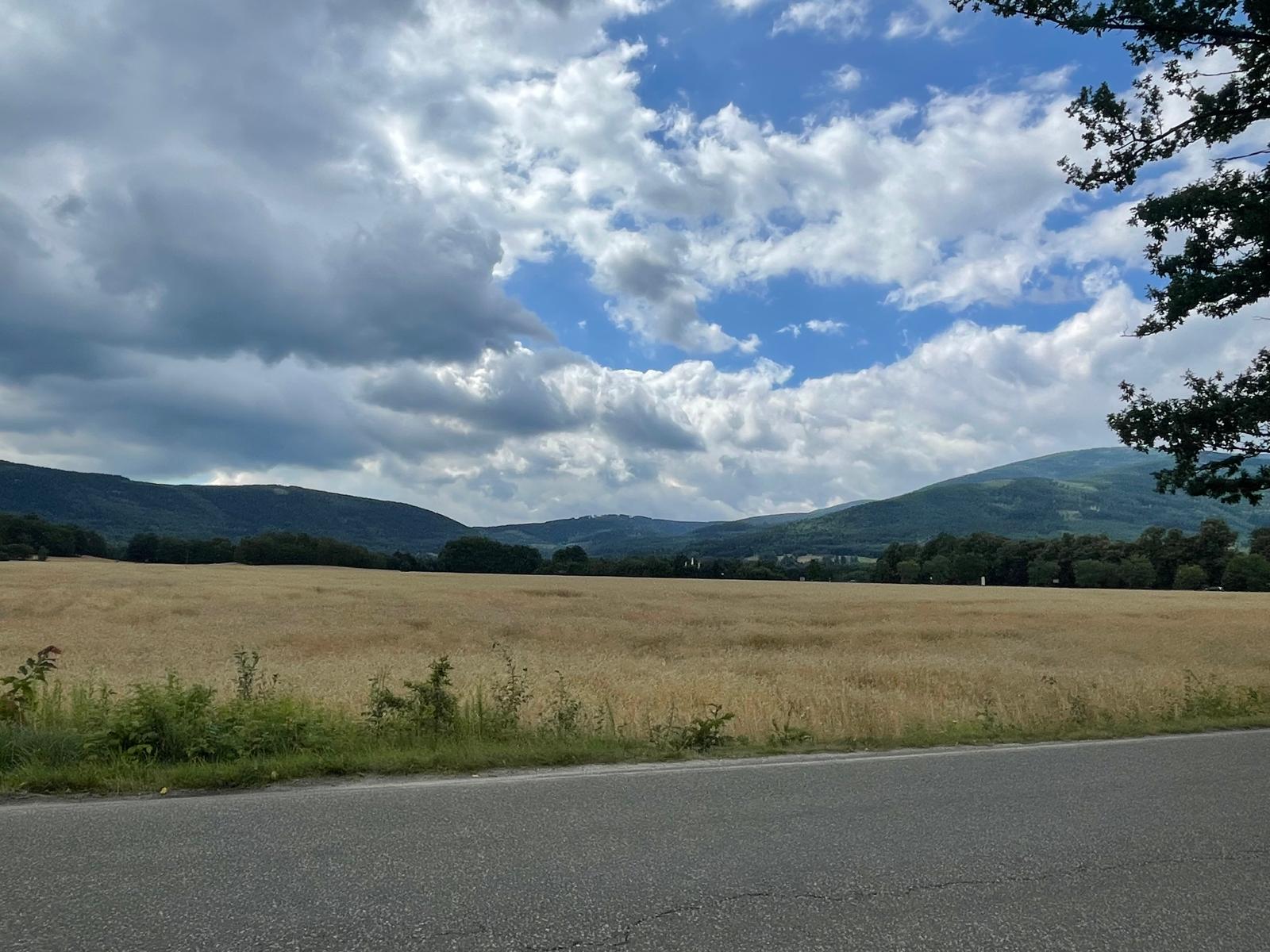 Okolica — łąki i zabudowa